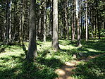P1040565KékesMegyeimagasságok