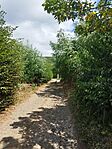 IMG_20240803_143550