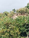 IMG_20240803_143753