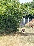 IMG_20240803_143759