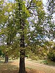 IMG_20240803_144251