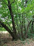 IMG_20240803_115719
