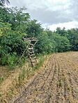 IMG_20240803_115852