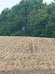 IMG_20240803_115945