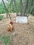 IMG_20240803_131417