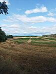 IMG_20240803_131527