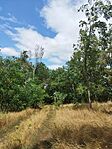 IMG_20240803_132239