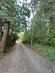 IMG_20240803_153045