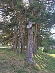 IMG_20240803_153630
