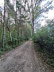 IMG_20240803_153040