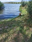 IMG_20240803_152957