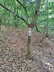 IMG_20240803_163514