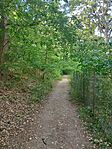 IMG_20240803_163523