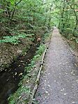 IMG_20240803_163735
