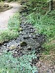 IMG_20240803_164310