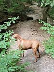 IMG_20240803_164319