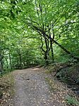 IMG_20240803_164533