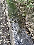 IMG_20240803_164926