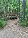 IMG_20240803_172638