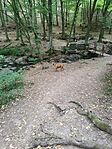 IMG_20240803_172649