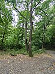 IMG_20240803_172939