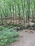 IMG_20240803_172653