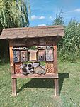 IMG_20240809_150044