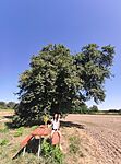 IMG_20240730_102047