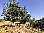 IMG_20240730_102628