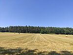 IMG_20240730_102617
