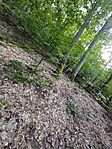 IMG_20240725_153051_1723354769052