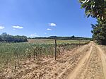 IMG_20240806_115142