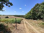 IMG_20240806_120701