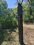 IMG_20240806_124811