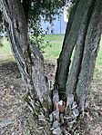 IMG_4080
