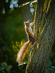 _PANA6564