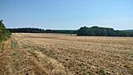 IMG20240815114653