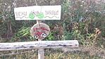 IMG_20240825_175135