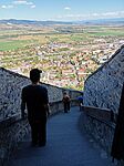 IMG_20240808_161809_805 lefelé