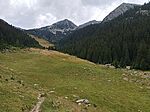 IMG_20240805_135226_343