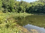 IMG_5598