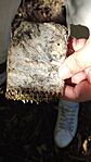 IMG_20240922_152603