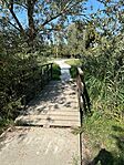 IMG_4290