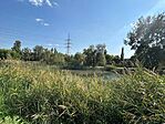 IMG_4291