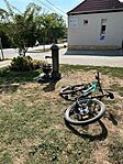 IMG_4314