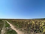 IMG_4357