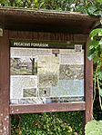 IMG_4466