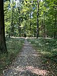 IMG_4564