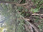 IMG_2797