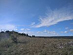 IMG_20240929_112328_1